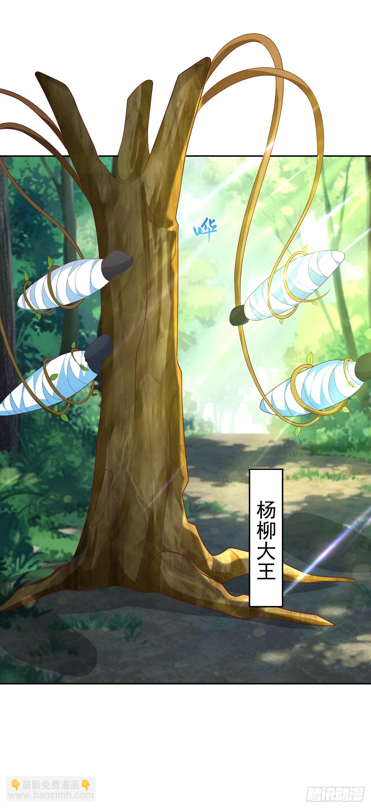 57 怡红院24