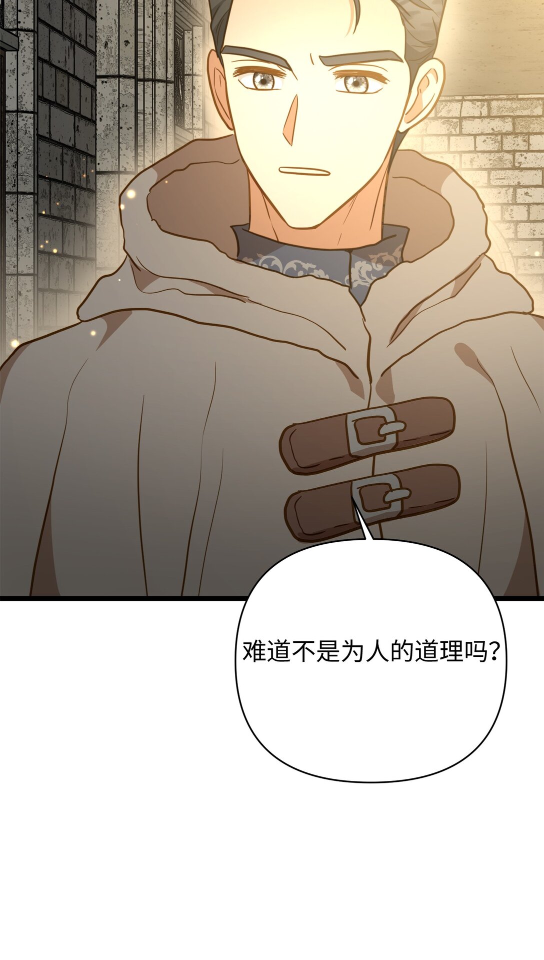 115 骑士之道22