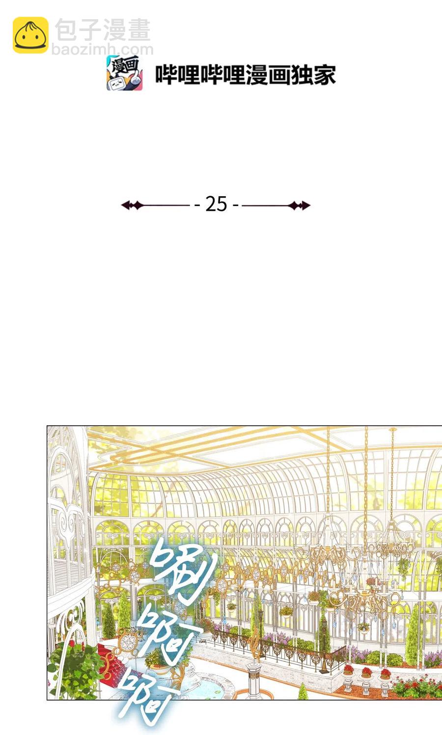 25 阴谋1