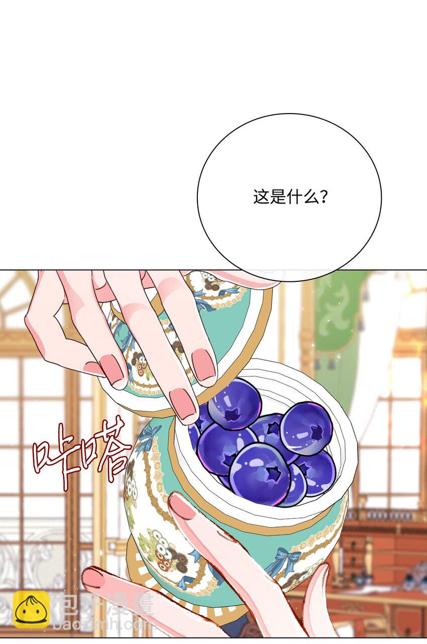 55 礼物36