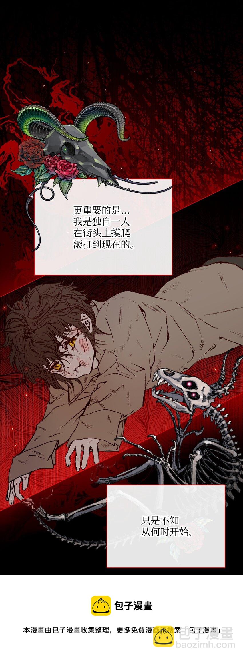 73 斯特拉公主4