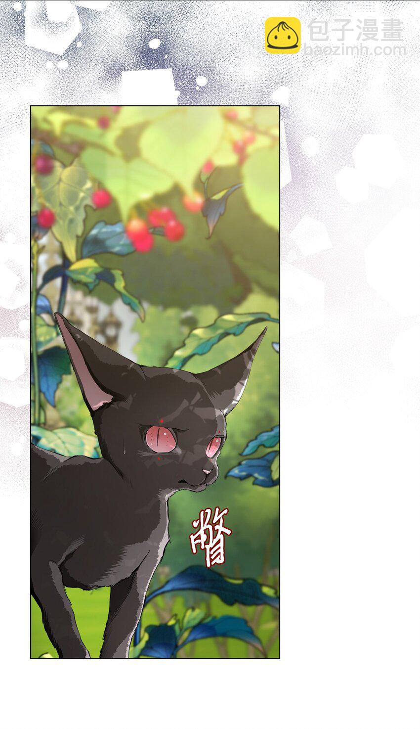 94 阿巴特领地43