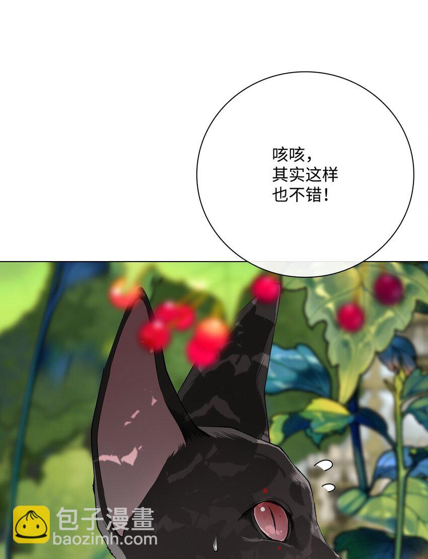 94 阿巴特领地44