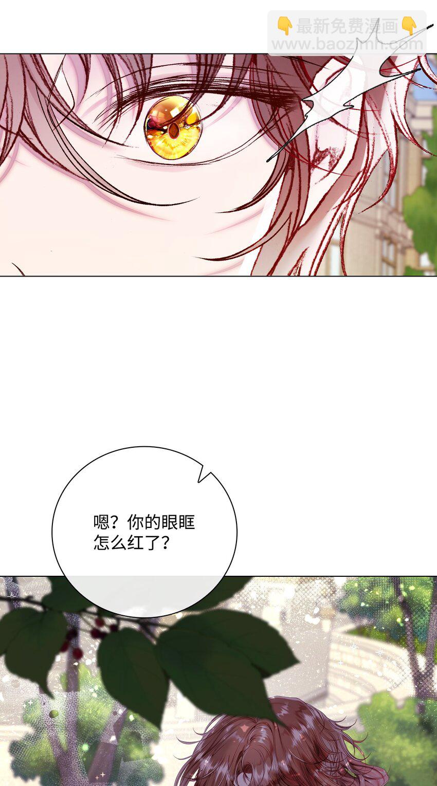 94 阿巴特领地67