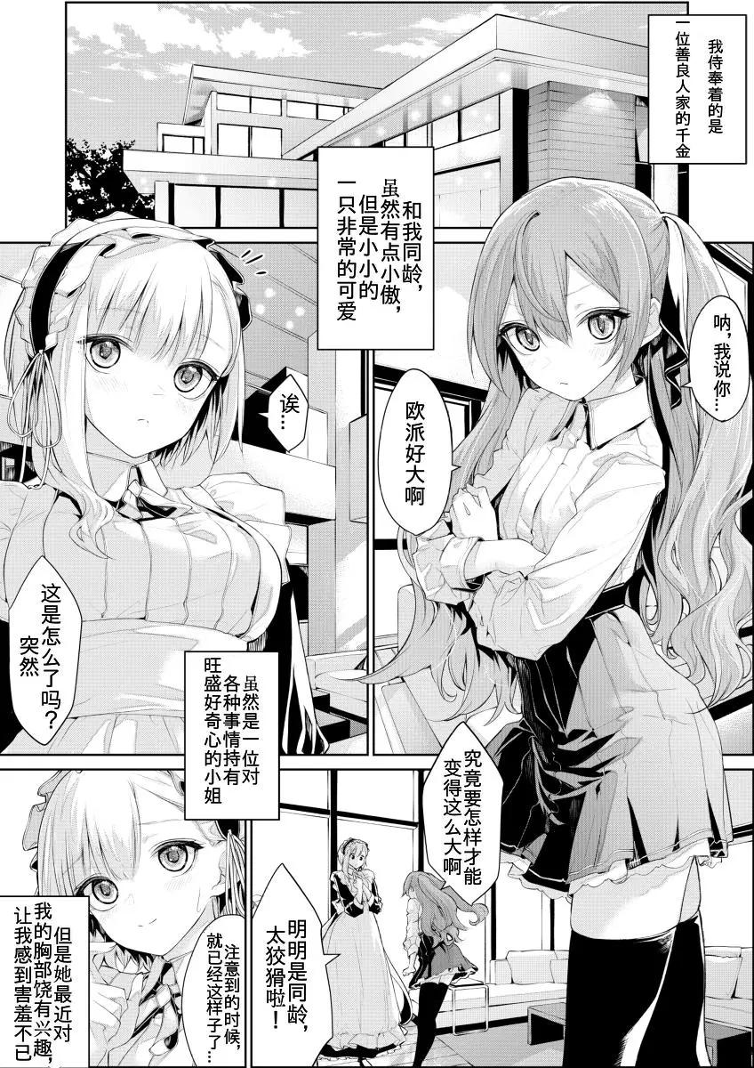 大小姐和女仆0
