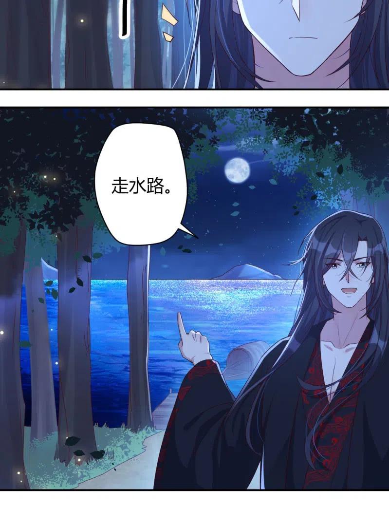 第111话 计划探岛17