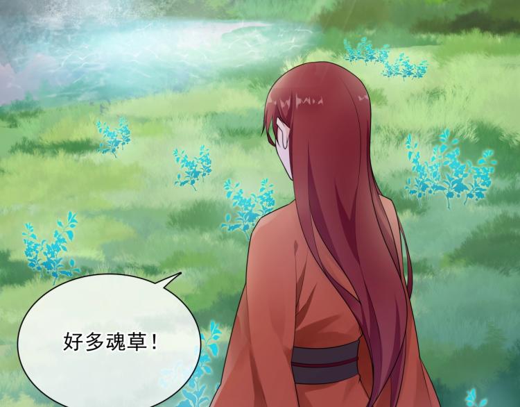 第43话 与魂兽…结合？26