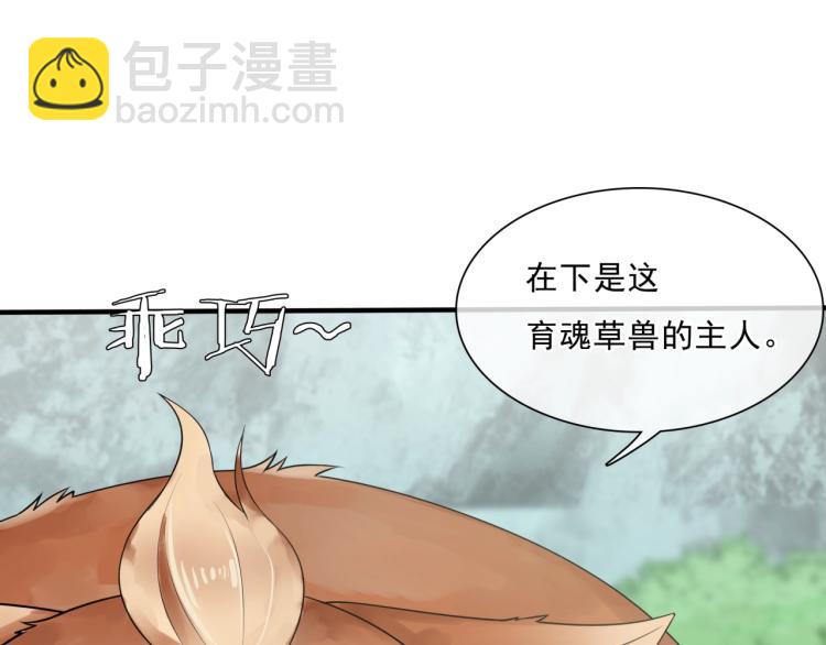 第43话 与魂兽…结合？46