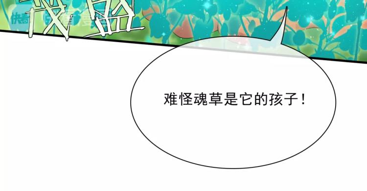第43话 与魂兽…结合？60