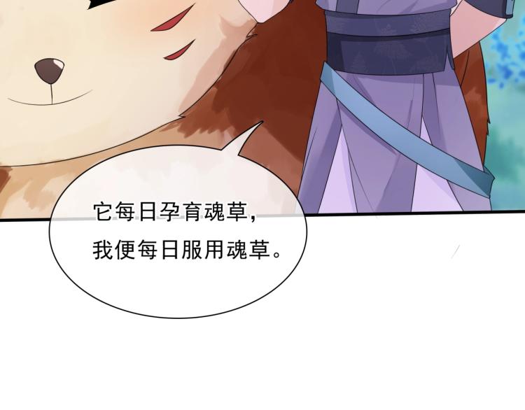 第43话 与魂兽…结合？70