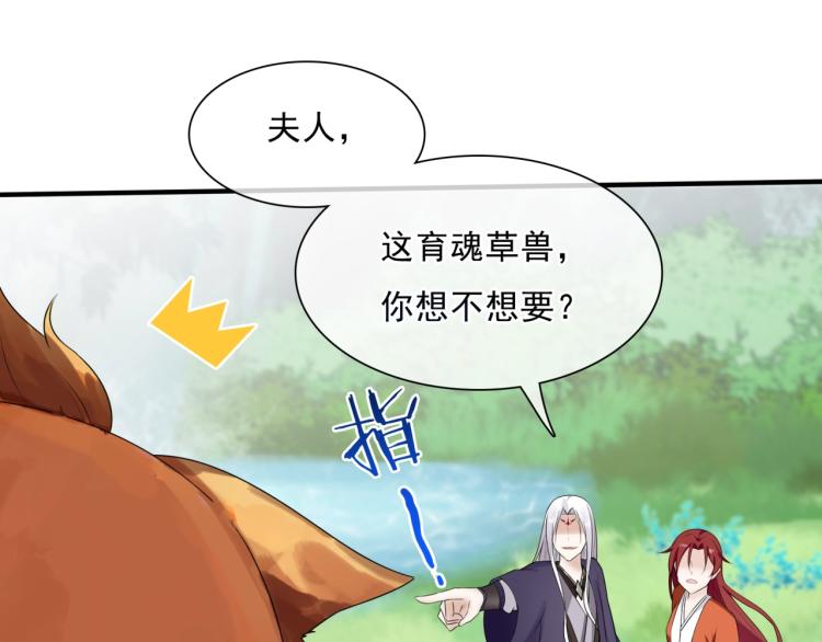 第43话 与魂兽…结合？84