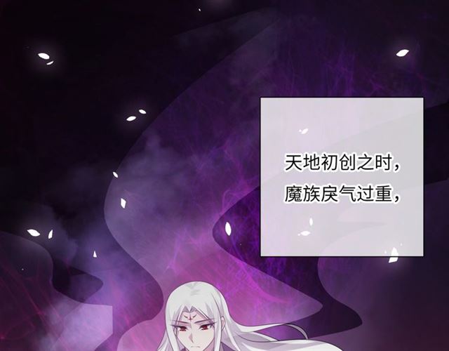 第88话 夫人当心！11