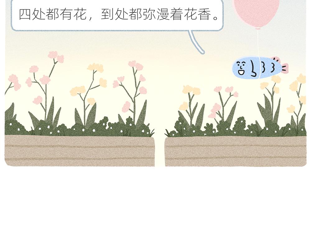 案板上的鱼比我快乐6