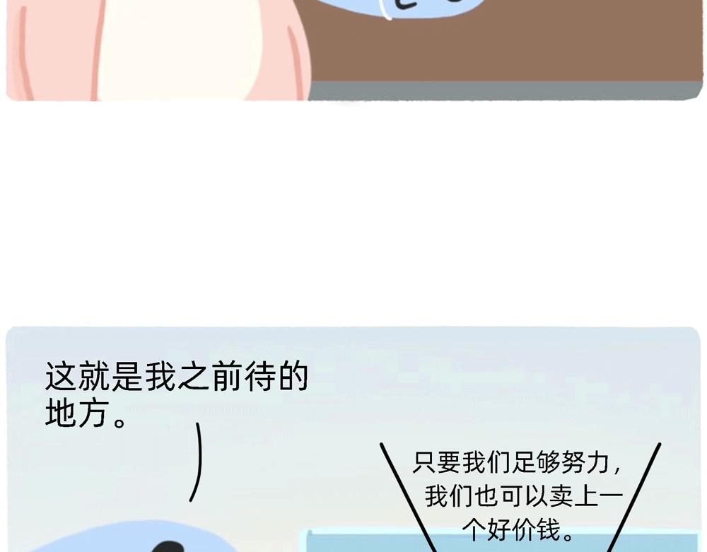 PUA的尽头就是反杀PUA22