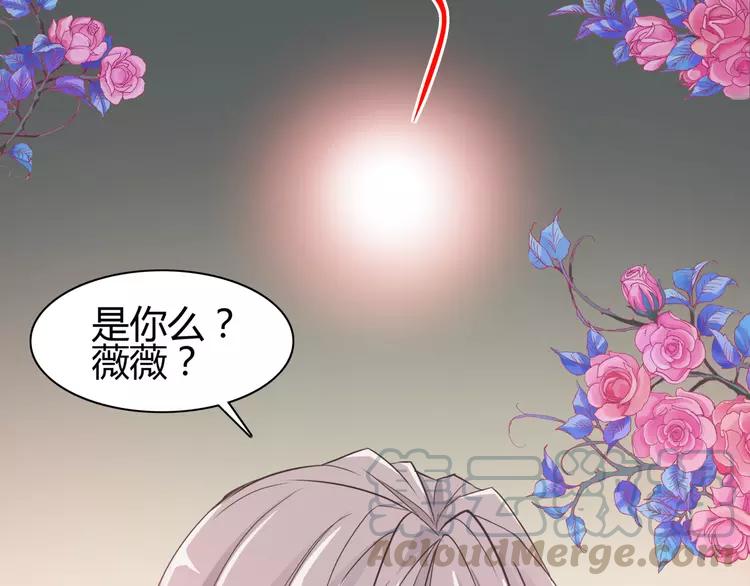 036 野蔷薇物语（下）12