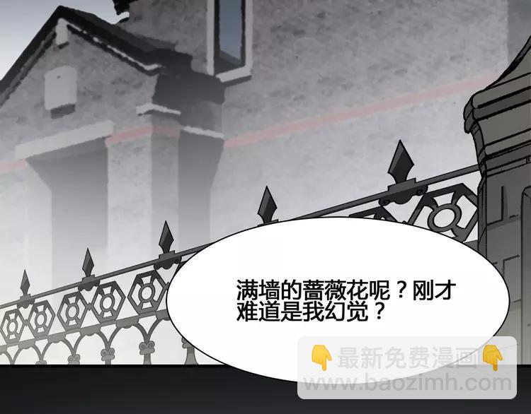 036 野蔷薇物语（下）34