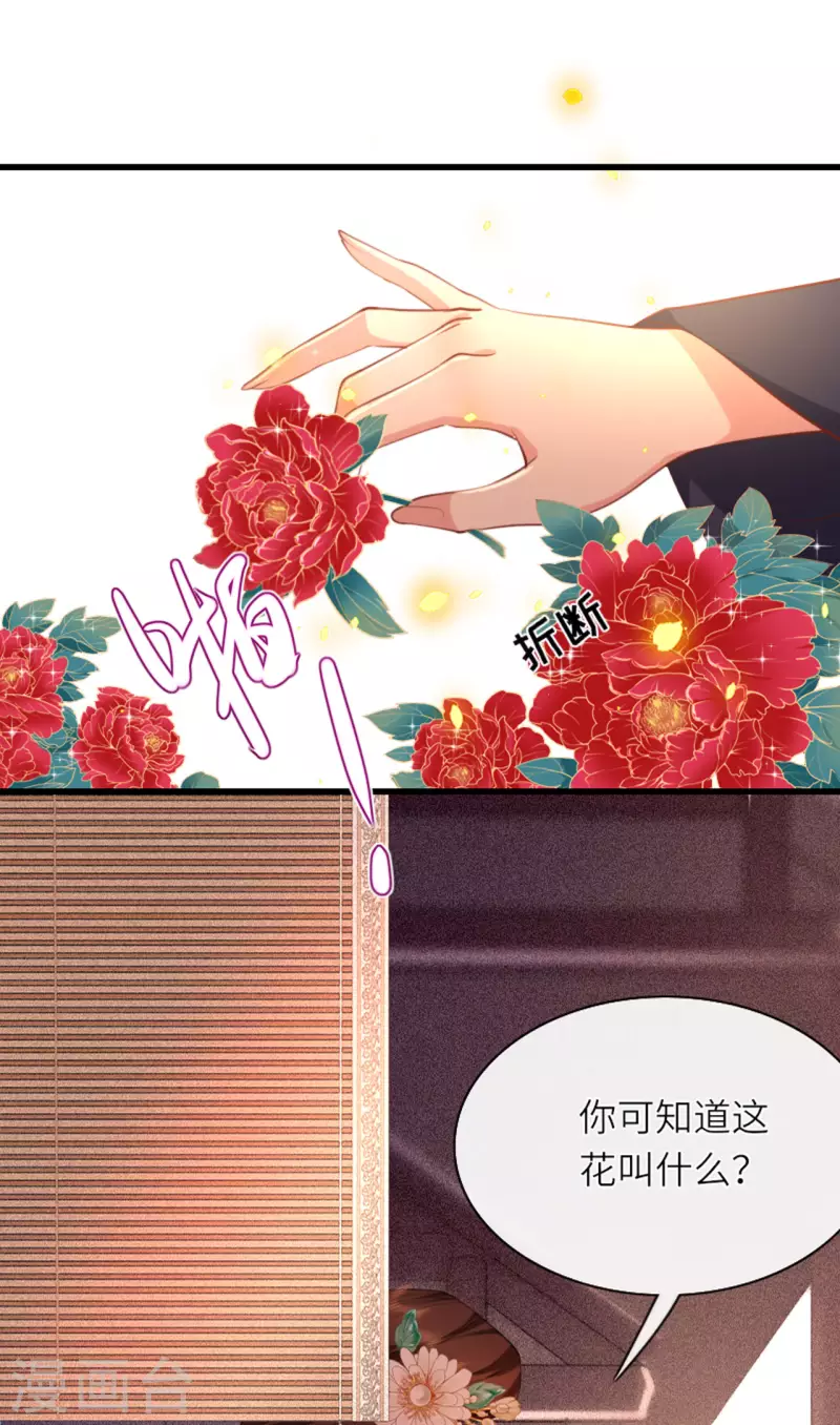 第6话 智怼恶妇5