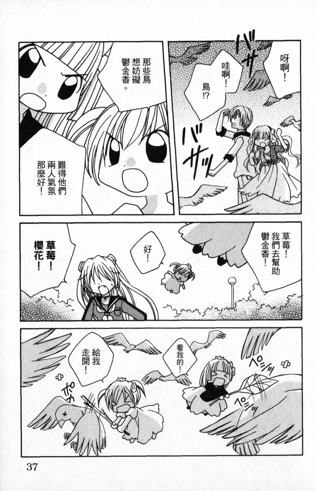 第03卷36