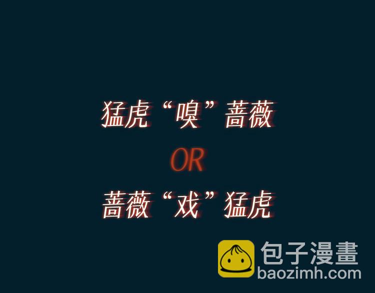 预热 猛虎嗅蔷薇，蔷薇戏猛虎17