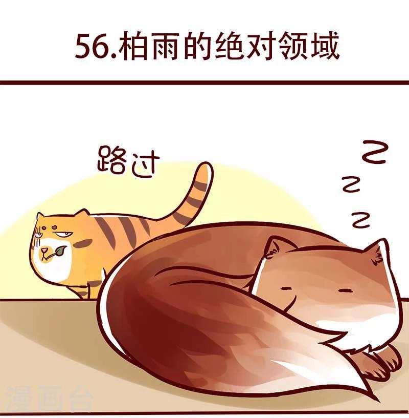 第56话 柏雨的绝对领域0