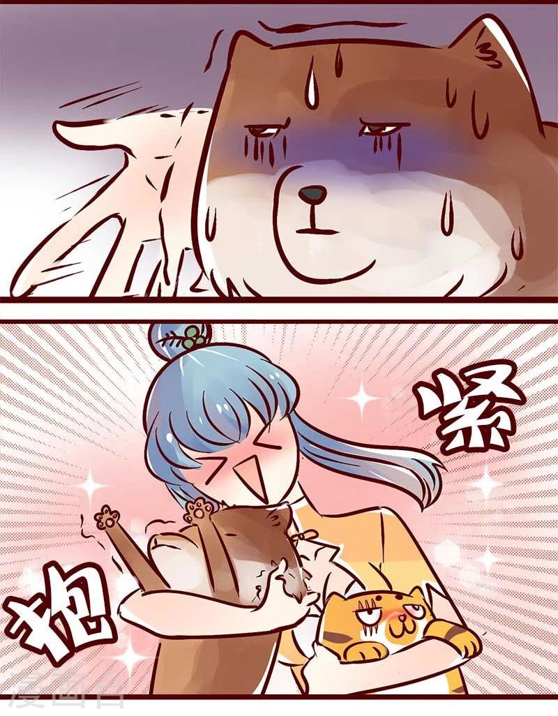 第56话 柏雨的绝对领域11