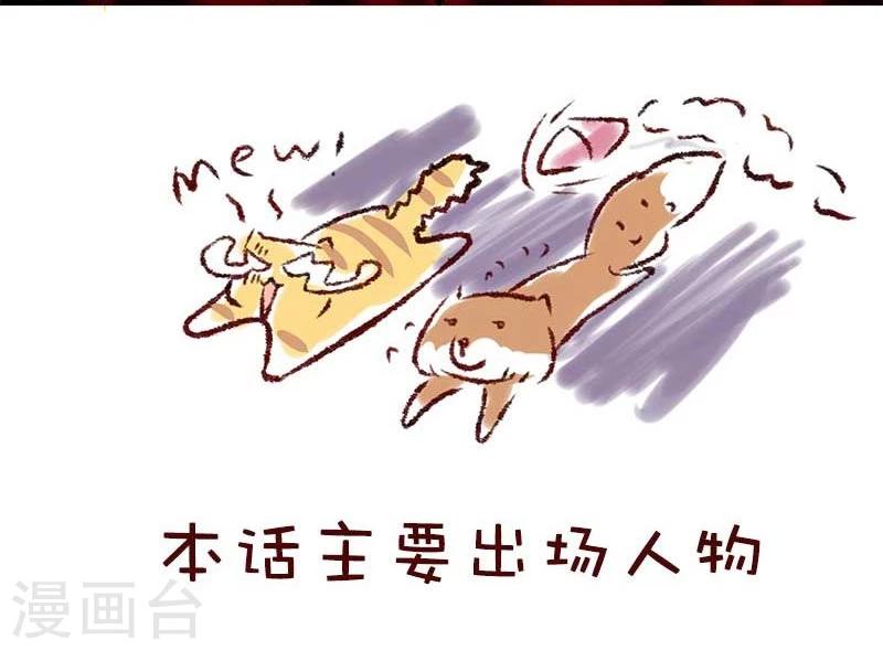 第56话 柏雨的绝对领域13