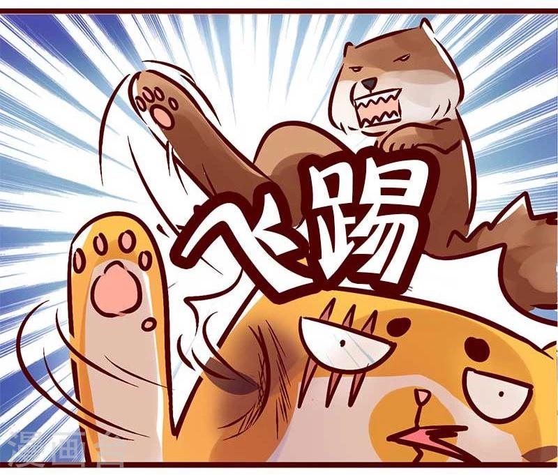 第56话 柏雨的绝对领域6