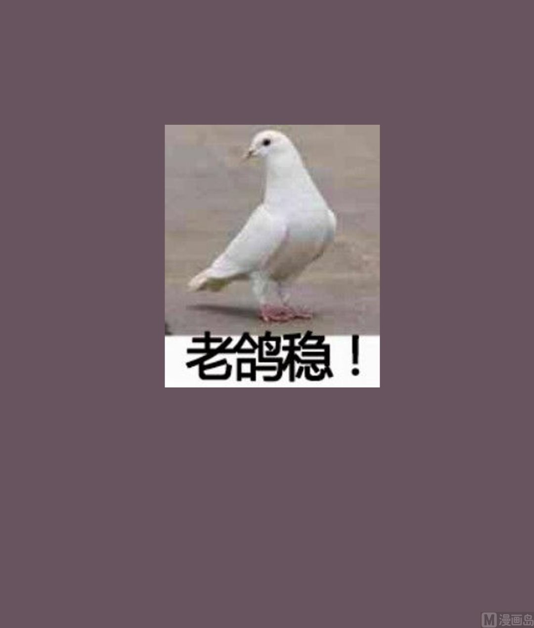 第91话 鸽王72