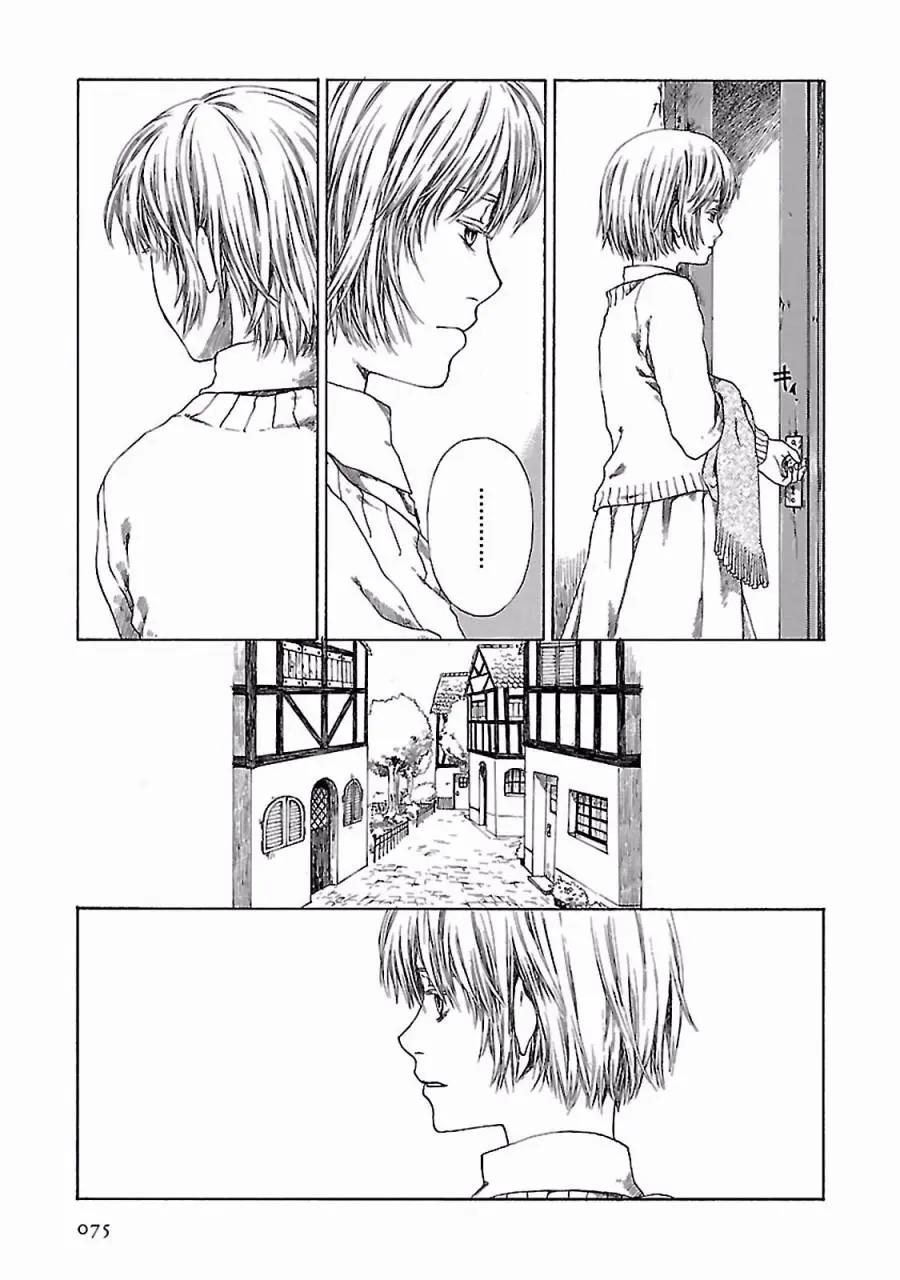 金雀枝10