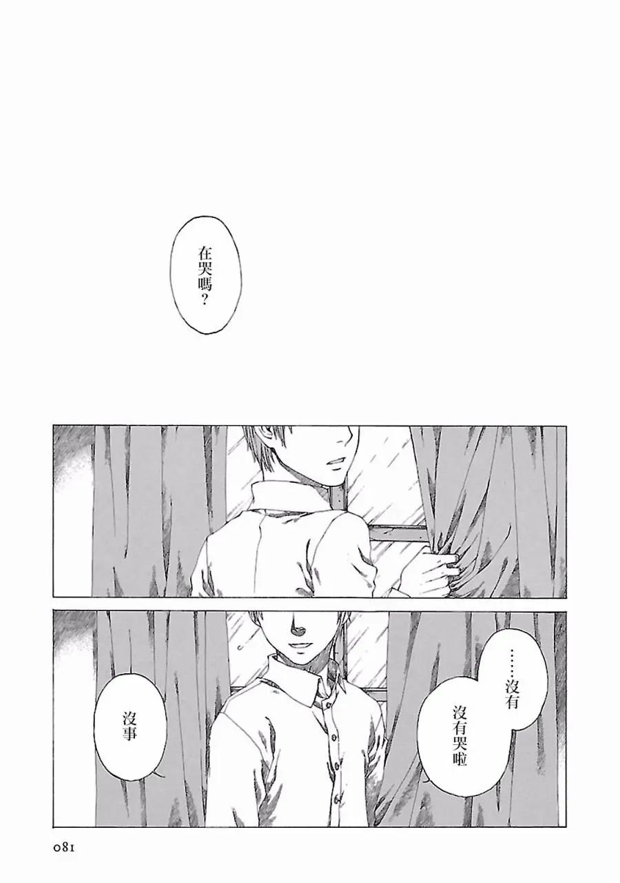 金雀枝16