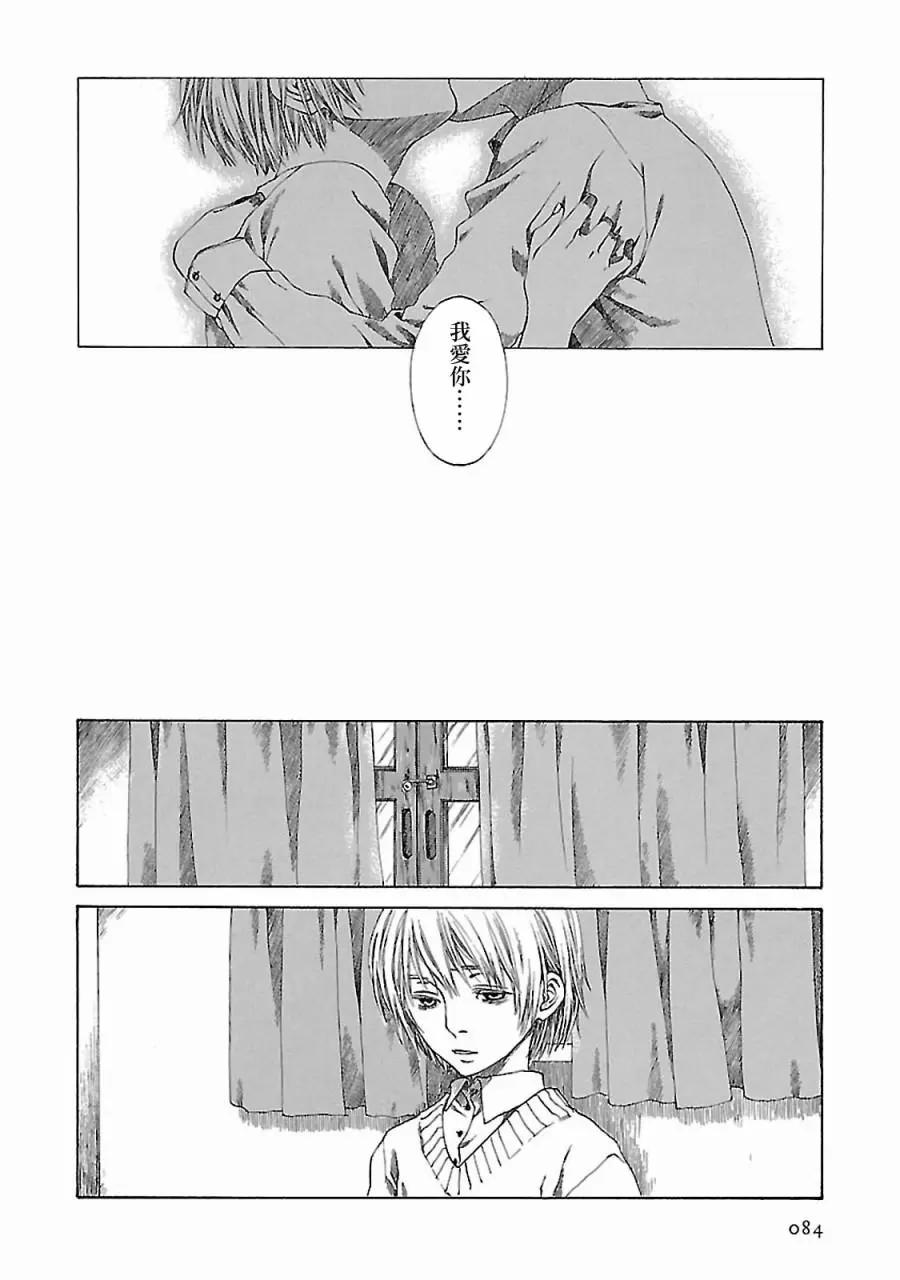 金雀枝19