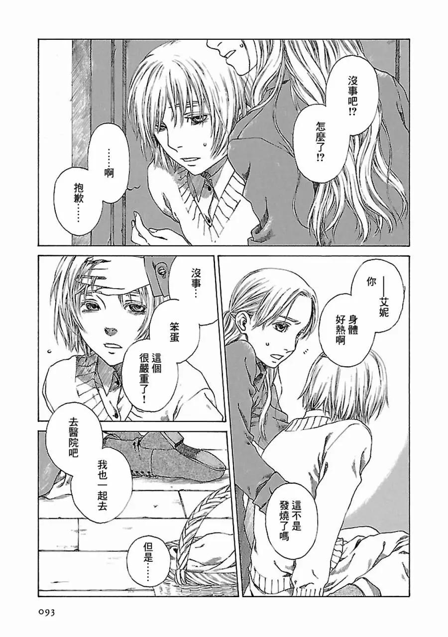 金雀枝28