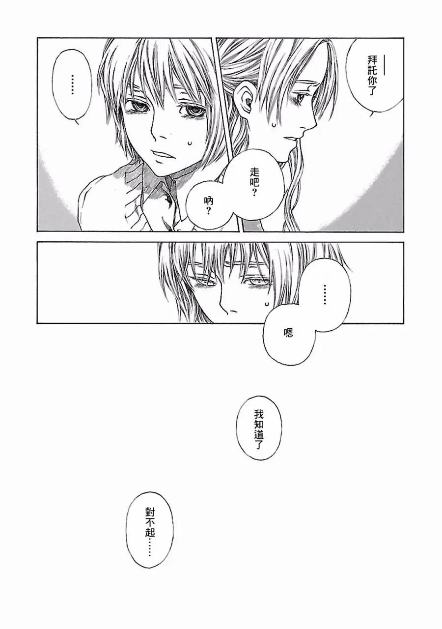 金雀枝29