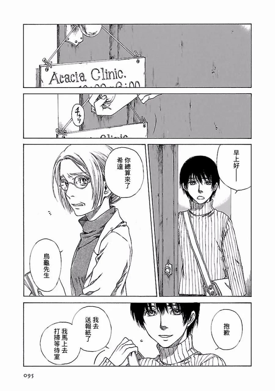 金雀枝30