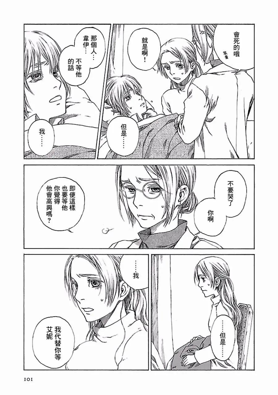 金雀枝36