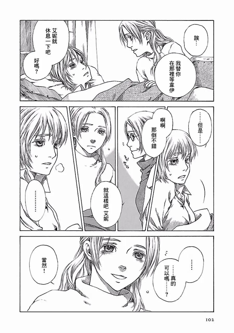 金雀枝37