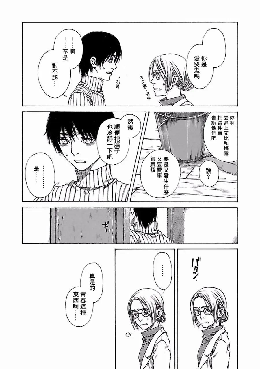 金雀枝40