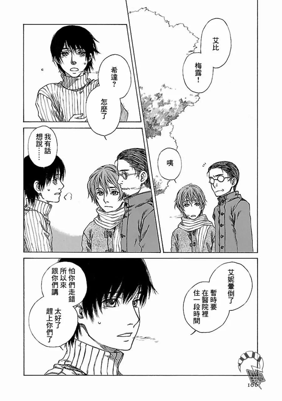 金雀枝41