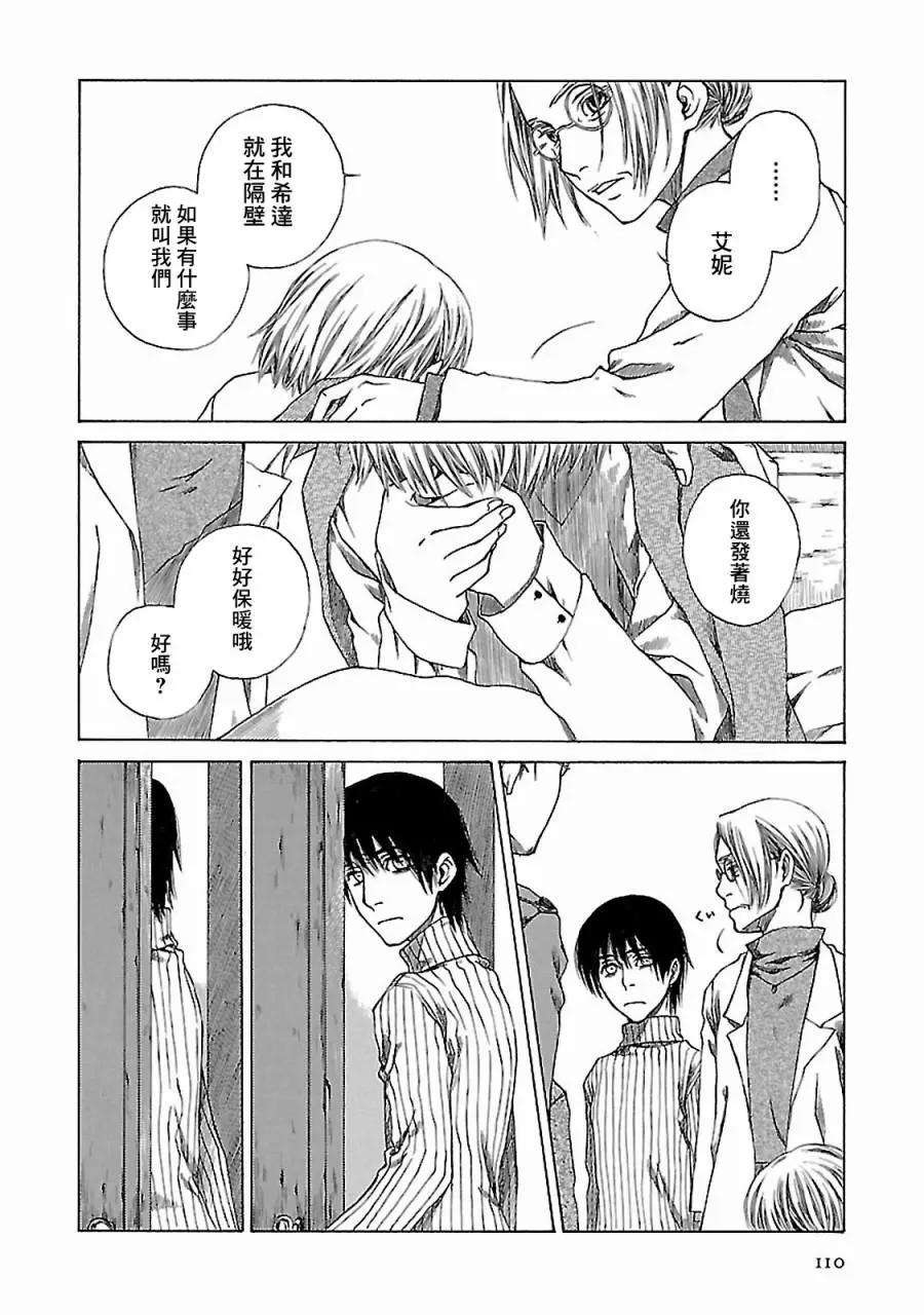 金雀枝45