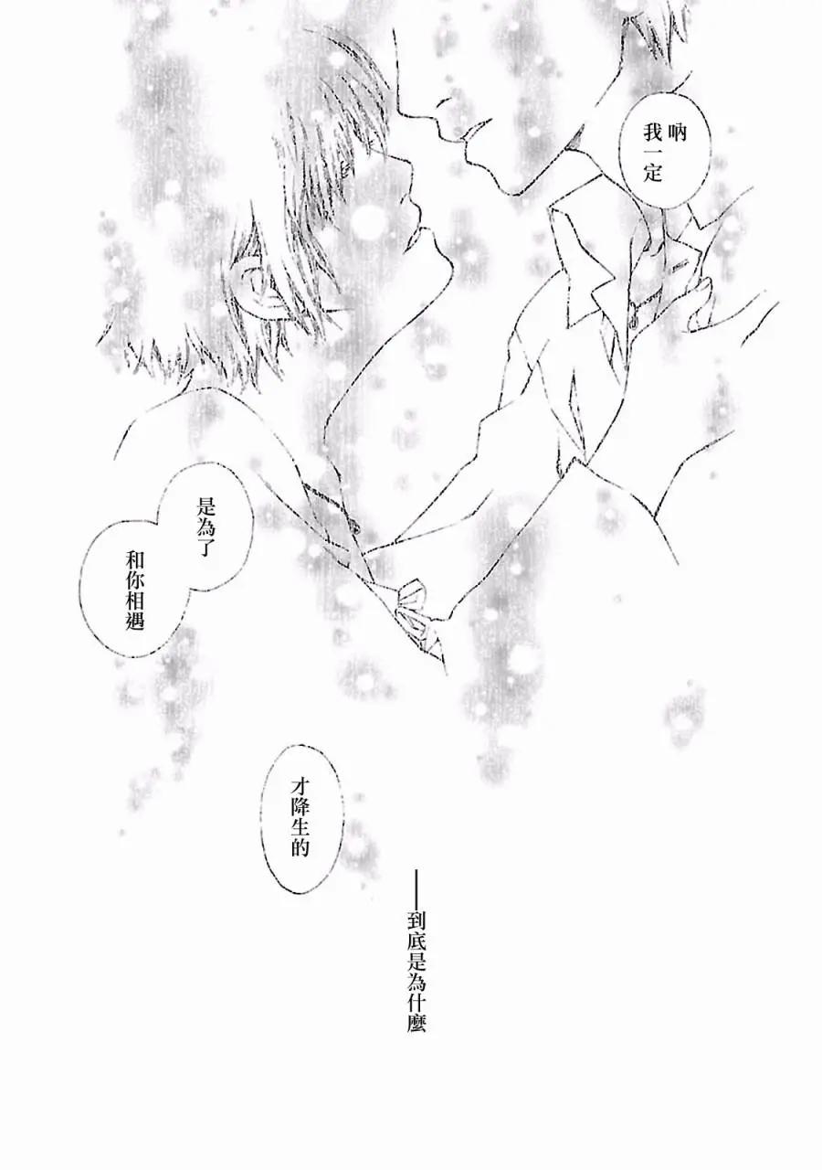金雀枝47