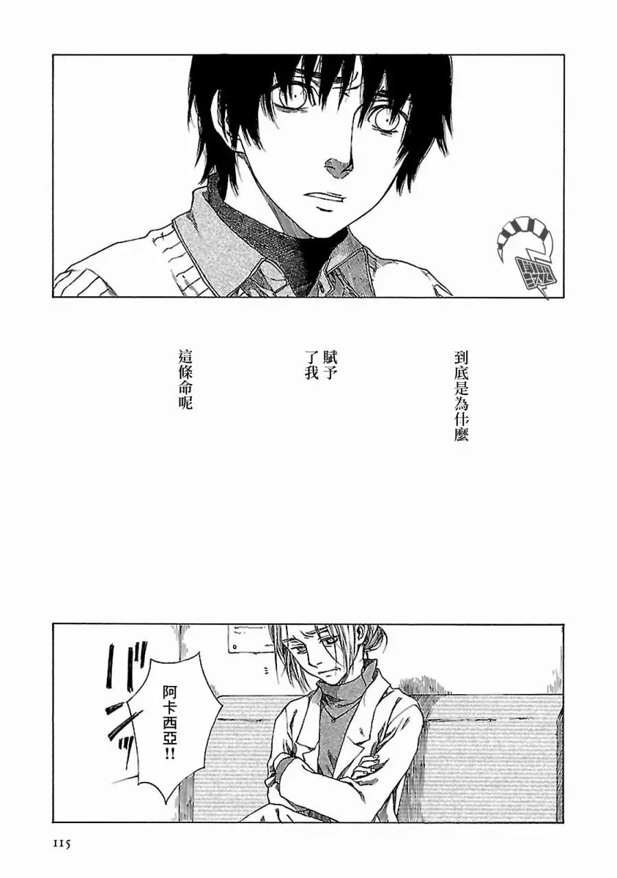 金雀枝54