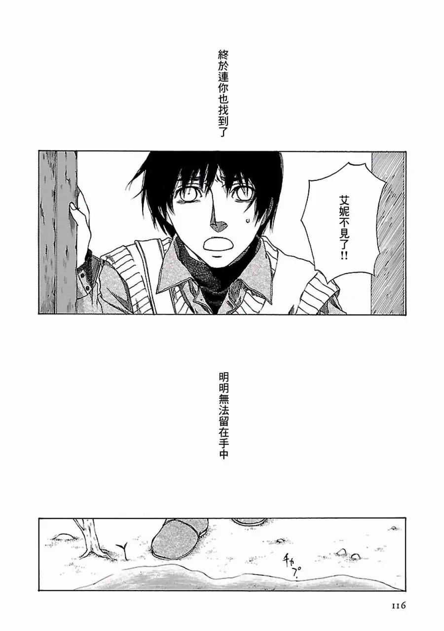 金雀枝55