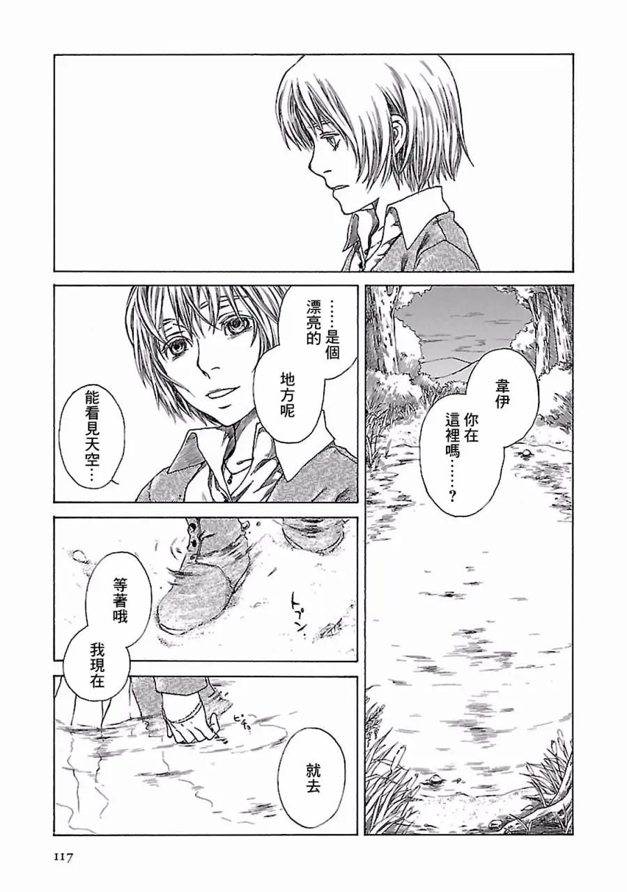 金雀枝56