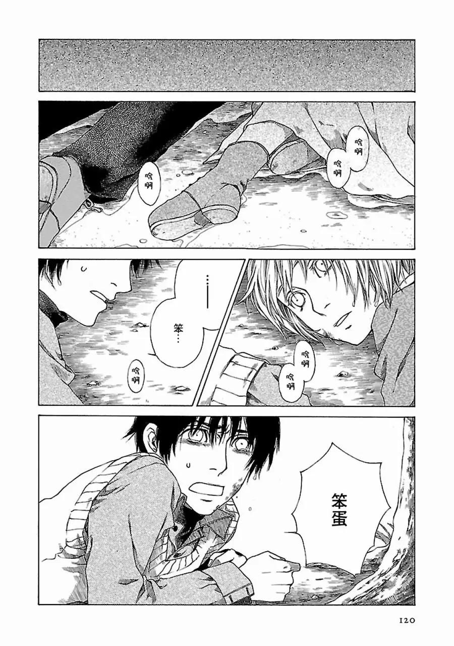 金雀枝59