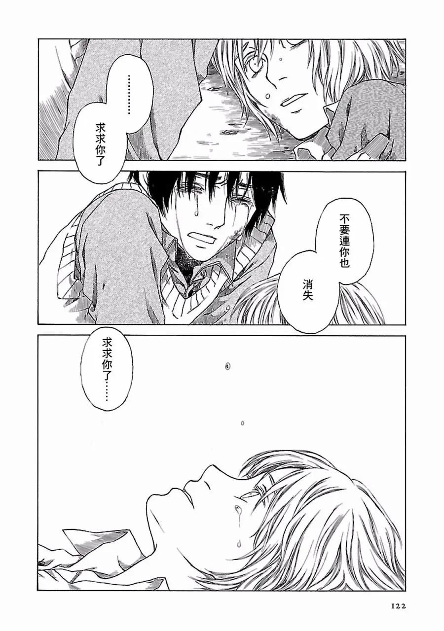 金雀枝61