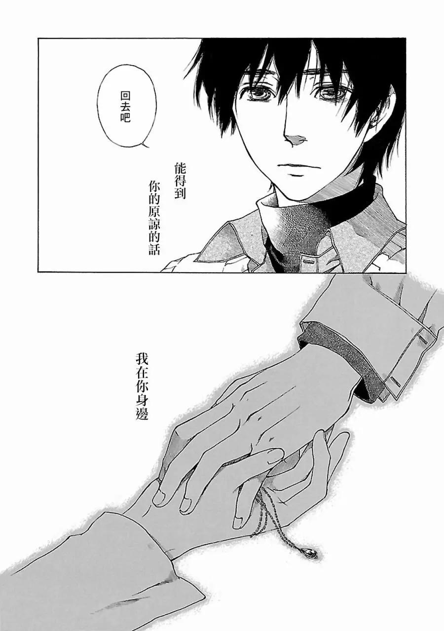 金雀枝71