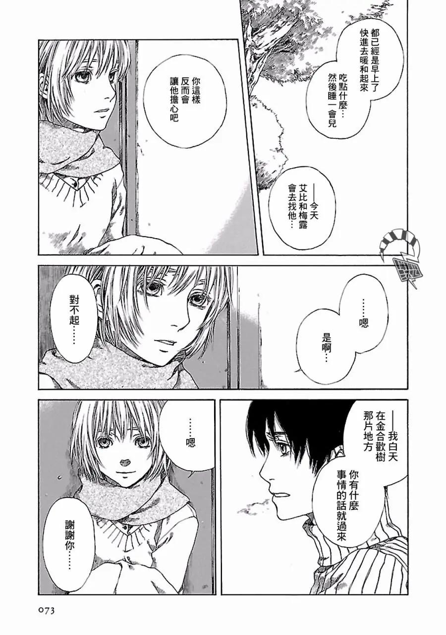 金雀枝8