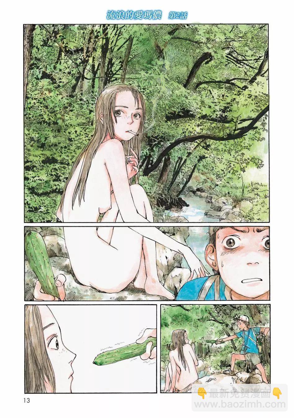流浪的爱玛侬14
