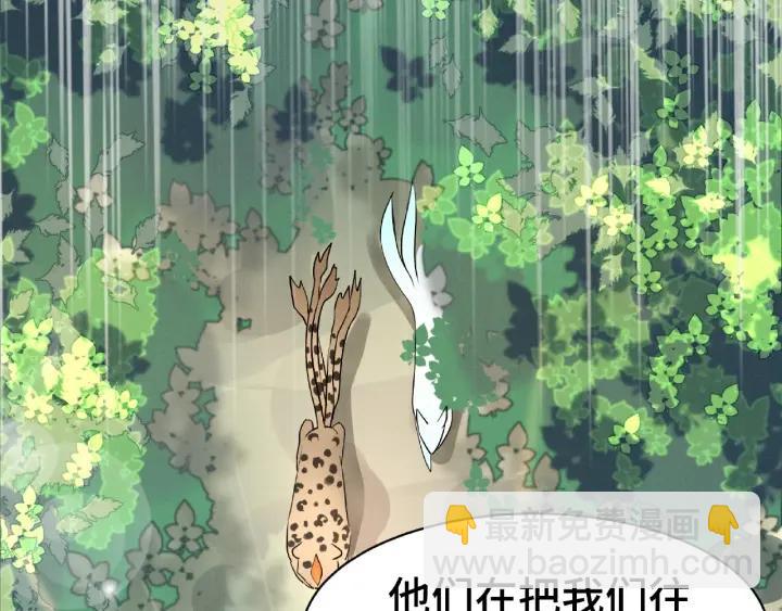 第61话 包围圈（上）18