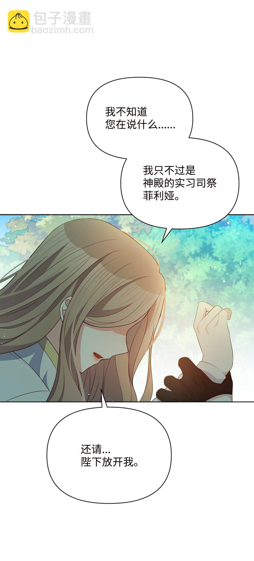 84 珂莱黛殿下的秘密57